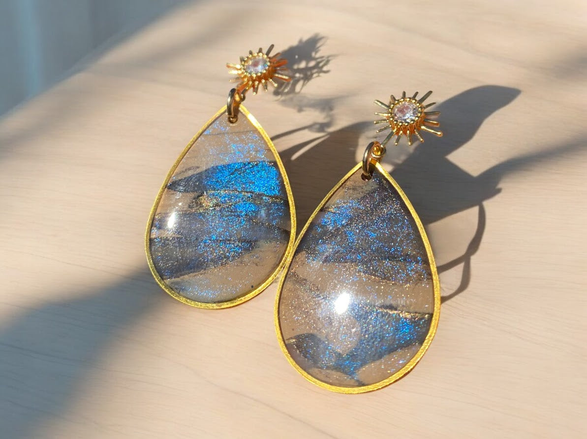 Sunburst Tortoise Earrings