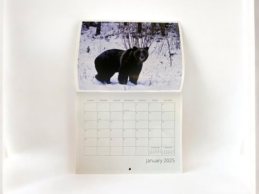 Wild Animal Calendar 2025