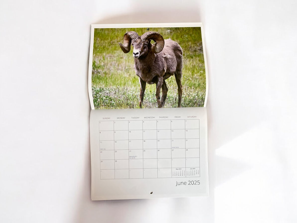 Wild Animal Calendar 2025