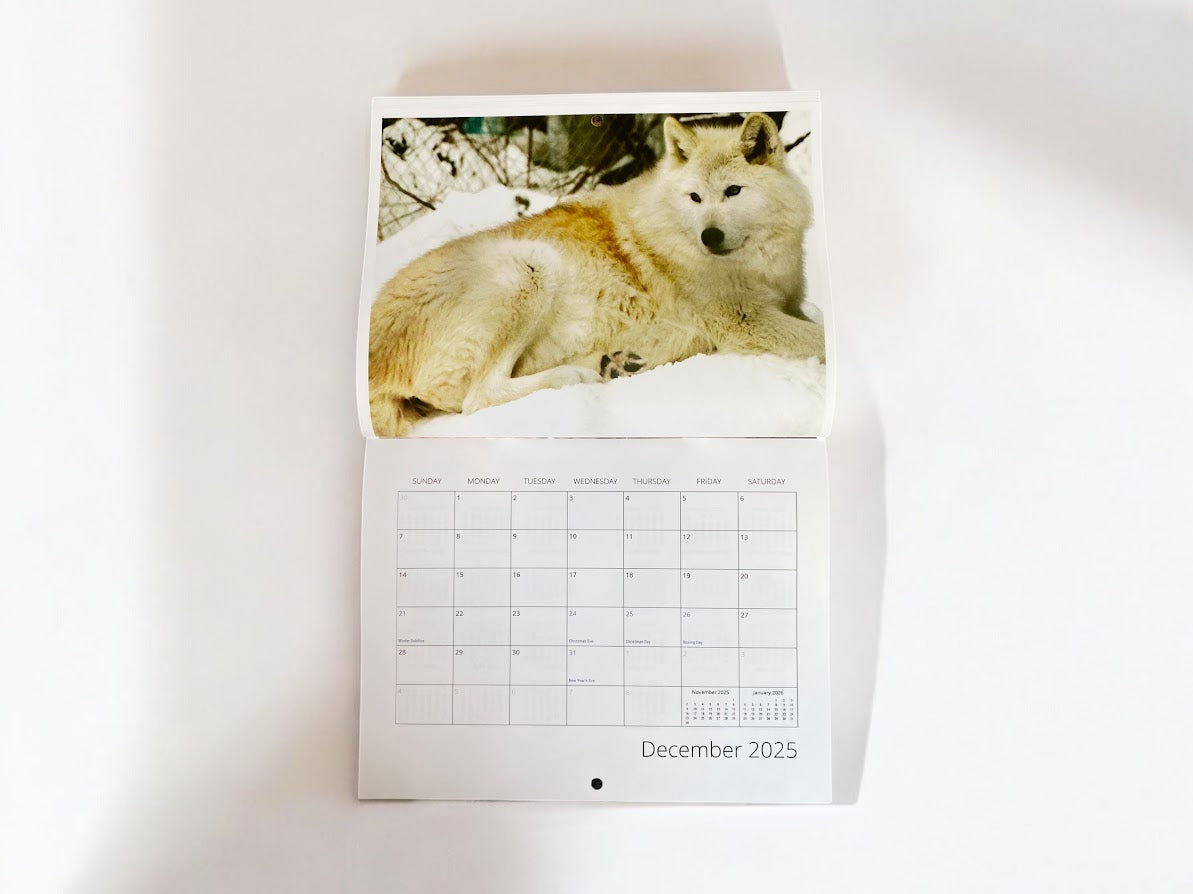 Wild Animal Calendar 2025