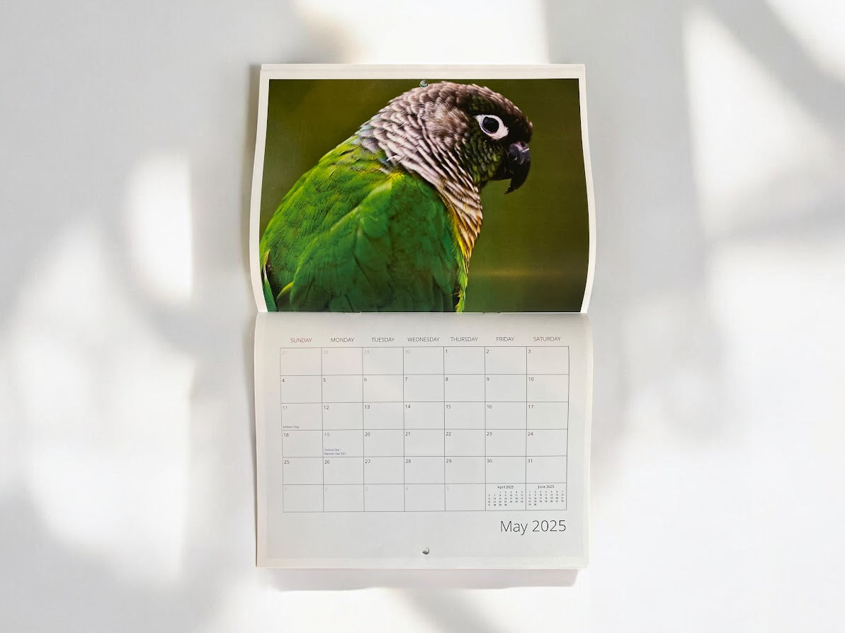 Majestic Bird Calendar 2025